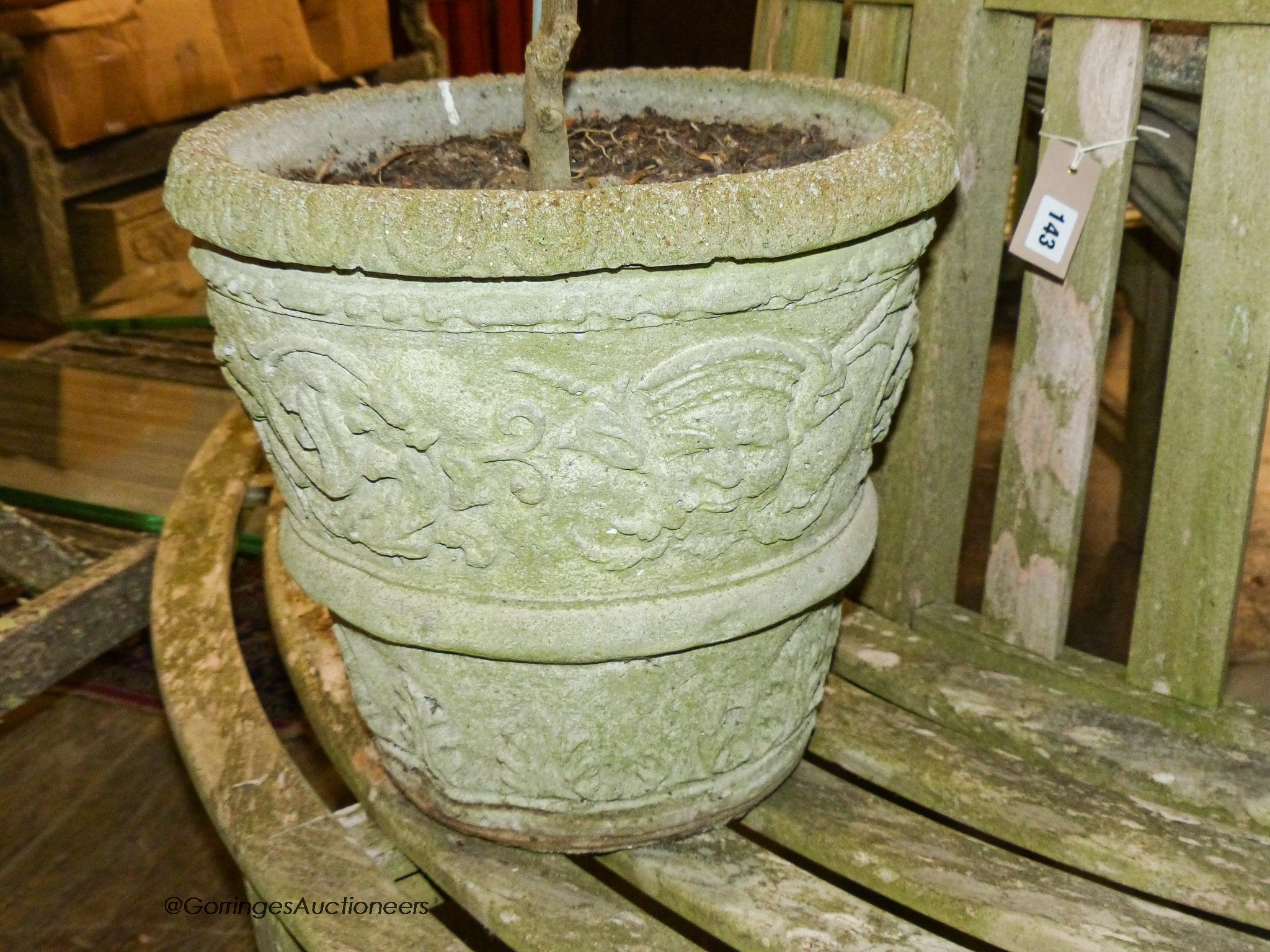 A pair of reconstituted stone tapered cylindrical planters, moulded with arabesques and containing small olive trees, diameter 36cm, height 34cm